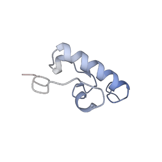 8521_5u9f_R_v1-4
3.2 A cryo-EM ArfA-RF2 ribosome rescue complex (Structure II)