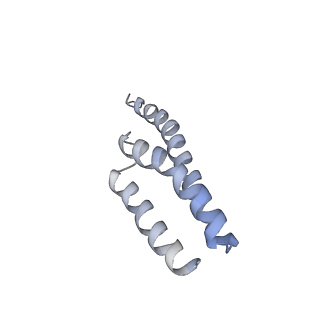 8521_5u9f_T_v1-4
3.2 A cryo-EM ArfA-RF2 ribosome rescue complex (Structure II)