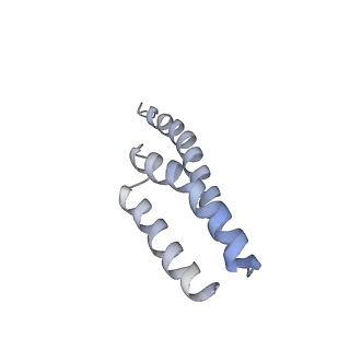 8521_5u9f_T_v1-5
3.2 A cryo-EM ArfA-RF2 ribosome rescue complex (Structure II)