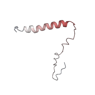 8521_5u9f_U_v1-4
3.2 A cryo-EM ArfA-RF2 ribosome rescue complex (Structure II)