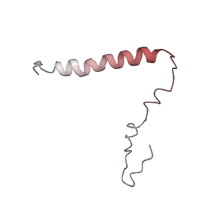 8521_5u9f_U_v1-5
3.2 A cryo-EM ArfA-RF2 ribosome rescue complex (Structure II)