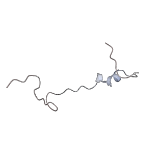8521_5u9f_Y_v1-4
3.2 A cryo-EM ArfA-RF2 ribosome rescue complex (Structure II)