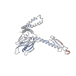 8521_5u9f_Z_v1-4
3.2 A cryo-EM ArfA-RF2 ribosome rescue complex (Structure II)