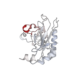 8522_5u9g_03_v1-4
3.2 A cryo-EM ArfA-RF2 ribosome rescue complex (Structure I)