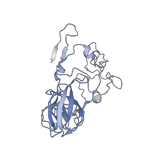 8522_5u9g_04_v1-4
3.2 A cryo-EM ArfA-RF2 ribosome rescue complex (Structure I)