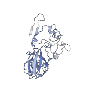 8522_5u9g_04_v1-5
3.2 A cryo-EM ArfA-RF2 ribosome rescue complex (Structure I)