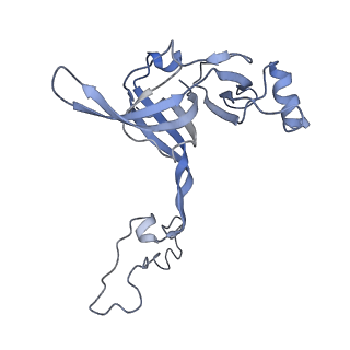 8522_5u9g_05_v1-4
3.2 A cryo-EM ArfA-RF2 ribosome rescue complex (Structure I)