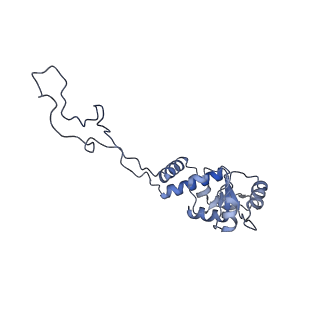 8522_5u9g_06_v1-4
3.2 A cryo-EM ArfA-RF2 ribosome rescue complex (Structure I)