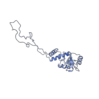 8522_5u9g_06_v1-5
3.2 A cryo-EM ArfA-RF2 ribosome rescue complex (Structure I)