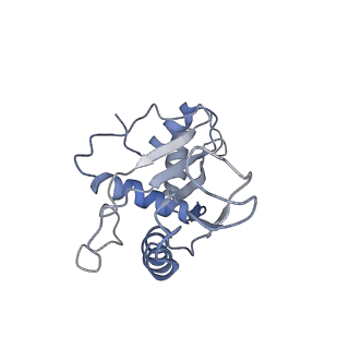 8522_5u9g_07_v1-4
3.2 A cryo-EM ArfA-RF2 ribosome rescue complex (Structure I)