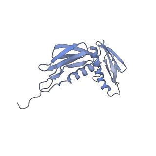 8522_5u9g_08_v1-4
3.2 A cryo-EM ArfA-RF2 ribosome rescue complex (Structure I)