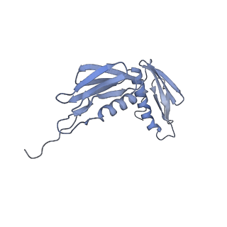 8522_5u9g_08_v1-5
3.2 A cryo-EM ArfA-RF2 ribosome rescue complex (Structure I)