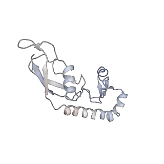 8522_5u9g_09_v1-4
3.2 A cryo-EM ArfA-RF2 ribosome rescue complex (Structure I)