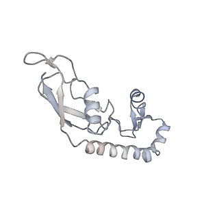 8522_5u9g_09_v1-5
3.2 A cryo-EM ArfA-RF2 ribosome rescue complex (Structure I)