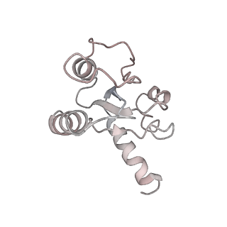8522_5u9g_10_v1-4
3.2 A cryo-EM ArfA-RF2 ribosome rescue complex (Structure I)
