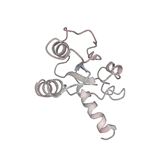 8522_5u9g_10_v1-5
3.2 A cryo-EM ArfA-RF2 ribosome rescue complex (Structure I)