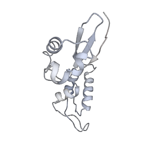 8522_5u9g_11_v1-4
3.2 A cryo-EM ArfA-RF2 ribosome rescue complex (Structure I)