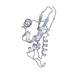 8522_5u9g_11_v1-5
3.2 A cryo-EM ArfA-RF2 ribosome rescue complex (Structure I)