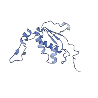 8522_5u9g_12_v1-4
3.2 A cryo-EM ArfA-RF2 ribosome rescue complex (Structure I)