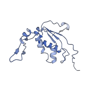 8522_5u9g_12_v1-5
3.2 A cryo-EM ArfA-RF2 ribosome rescue complex (Structure I)