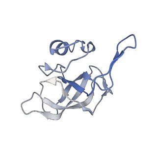 8522_5u9g_13_v1-4
3.2 A cryo-EM ArfA-RF2 ribosome rescue complex (Structure I)