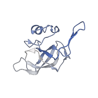 8522_5u9g_13_v1-5
3.2 A cryo-EM ArfA-RF2 ribosome rescue complex (Structure I)