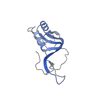 8522_5u9g_15_v1-5
3.2 A cryo-EM ArfA-RF2 ribosome rescue complex (Structure I)