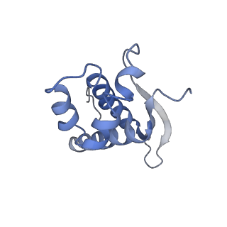 8522_5u9g_16_v1-4
3.2 A cryo-EM ArfA-RF2 ribosome rescue complex (Structure I)