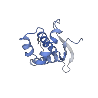 8522_5u9g_16_v1-5
3.2 A cryo-EM ArfA-RF2 ribosome rescue complex (Structure I)