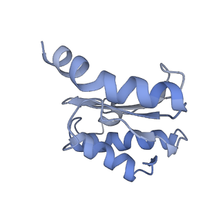8522_5u9g_17_v1-4
3.2 A cryo-EM ArfA-RF2 ribosome rescue complex (Structure I)