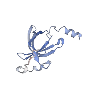 8522_5u9g_18_v1-4
3.2 A cryo-EM ArfA-RF2 ribosome rescue complex (Structure I)
