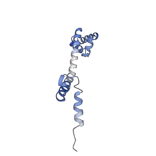 8522_5u9g_19_v1-5
3.2 A cryo-EM ArfA-RF2 ribosome rescue complex (Structure I)