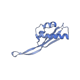 8522_5u9g_21_v1-4
3.2 A cryo-EM ArfA-RF2 ribosome rescue complex (Structure I)