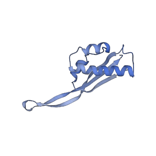 8522_5u9g_21_v1-5
3.2 A cryo-EM ArfA-RF2 ribosome rescue complex (Structure I)