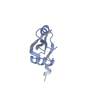 8522_5u9g_22_v1-4
3.2 A cryo-EM ArfA-RF2 ribosome rescue complex (Structure I)
