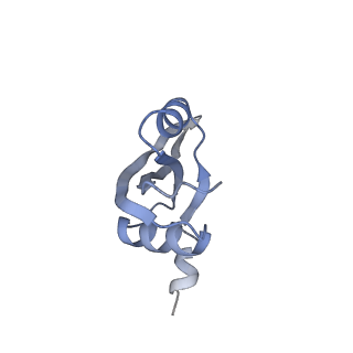 8522_5u9g_22_v1-5
3.2 A cryo-EM ArfA-RF2 ribosome rescue complex (Structure I)