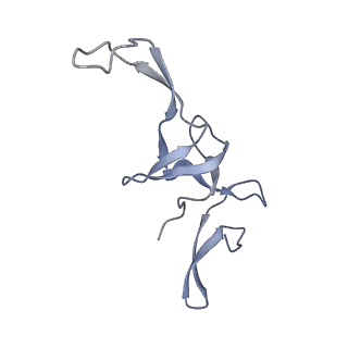 8522_5u9g_23_v1-4
3.2 A cryo-EM ArfA-RF2 ribosome rescue complex (Structure I)