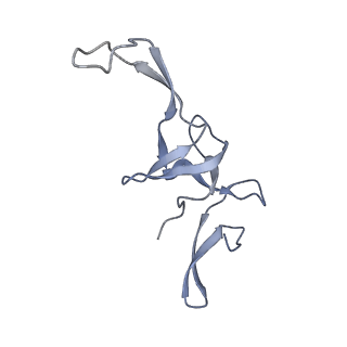 8522_5u9g_23_v1-5
3.2 A cryo-EM ArfA-RF2 ribosome rescue complex (Structure I)