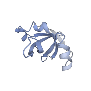 8522_5u9g_24_v1-4
3.2 A cryo-EM ArfA-RF2 ribosome rescue complex (Structure I)