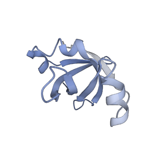 8522_5u9g_24_v1-5
3.2 A cryo-EM ArfA-RF2 ribosome rescue complex (Structure I)