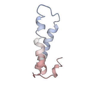 8522_5u9g_27_v1-4
3.2 A cryo-EM ArfA-RF2 ribosome rescue complex (Structure I)