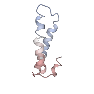 8522_5u9g_27_v1-5
3.2 A cryo-EM ArfA-RF2 ribosome rescue complex (Structure I)