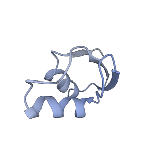 8522_5u9g_28_v1-4
3.2 A cryo-EM ArfA-RF2 ribosome rescue complex (Structure I)