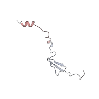 8522_5u9g_29_v1-4
3.2 A cryo-EM ArfA-RF2 ribosome rescue complex (Structure I)
