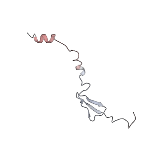 8522_5u9g_29_v1-5
3.2 A cryo-EM ArfA-RF2 ribosome rescue complex (Structure I)