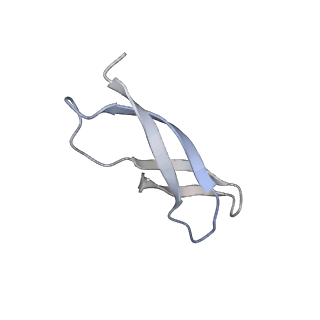 8522_5u9g_31_v1-5
3.2 A cryo-EM ArfA-RF2 ribosome rescue complex (Structure I)