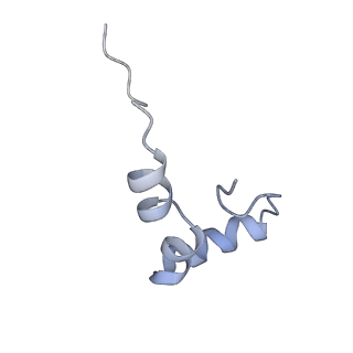 8522_5u9g_32_v1-4
3.2 A cryo-EM ArfA-RF2 ribosome rescue complex (Structure I)