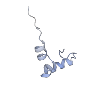 8522_5u9g_32_v1-5
3.2 A cryo-EM ArfA-RF2 ribosome rescue complex (Structure I)