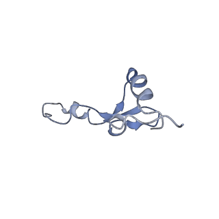 8522_5u9g_33_v1-4
3.2 A cryo-EM ArfA-RF2 ribosome rescue complex (Structure I)