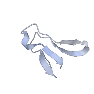 8522_5u9g_34_v1-4
3.2 A cryo-EM ArfA-RF2 ribosome rescue complex (Structure I)